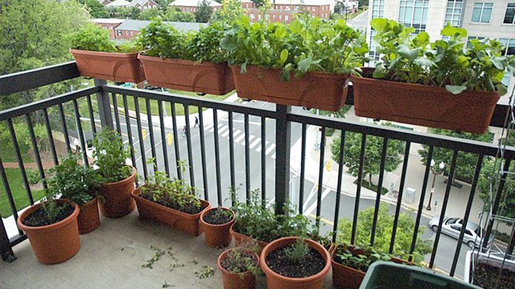 Guia completo de iluminação para plantas em apartamento