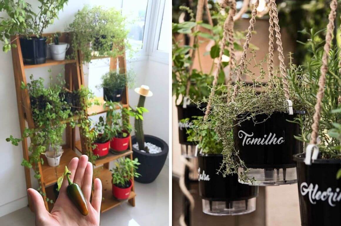 horta em apartamento