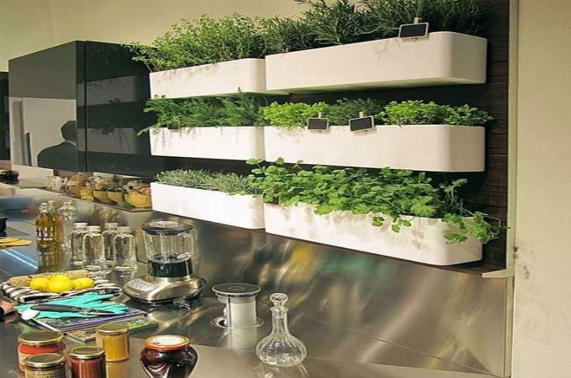 Guia completo de iluminação para plantas em apartamento