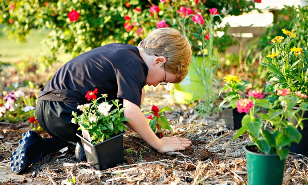 jardinagem com crianças