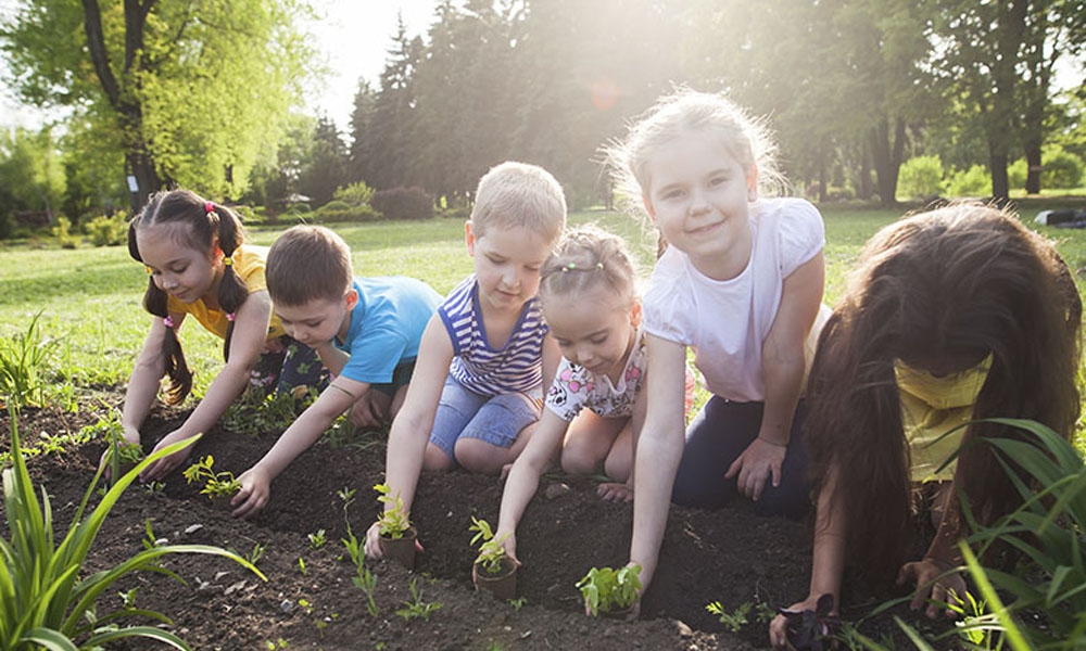 jardinagem com crianças