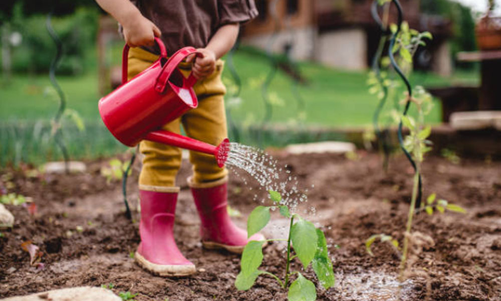 jardinagem com crianças