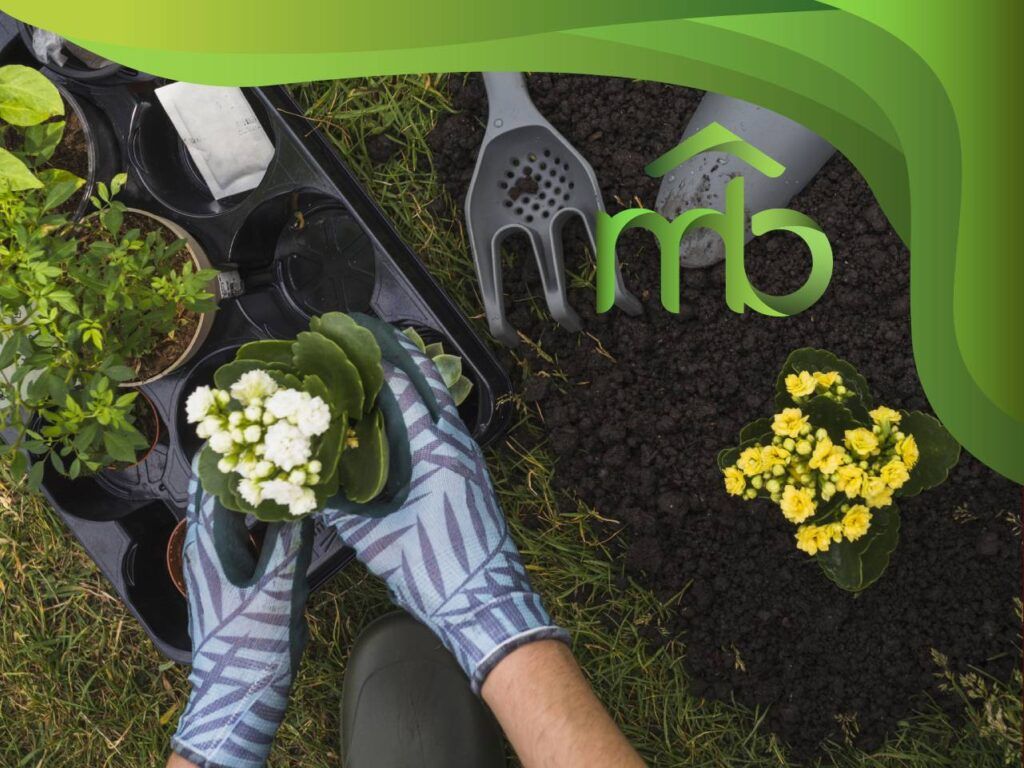 Como a jardinagem melhora a saúde mental