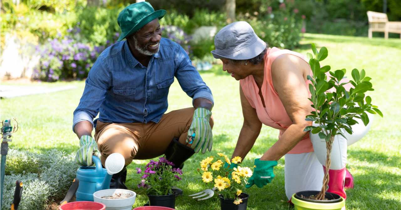 Os melhores vasos para iniciantes na jardinagem
