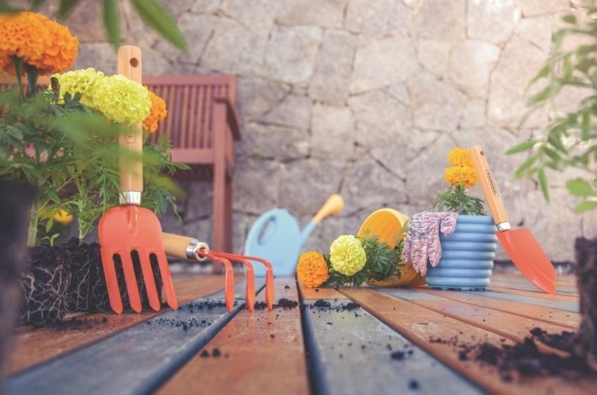 jardinagem como hobby