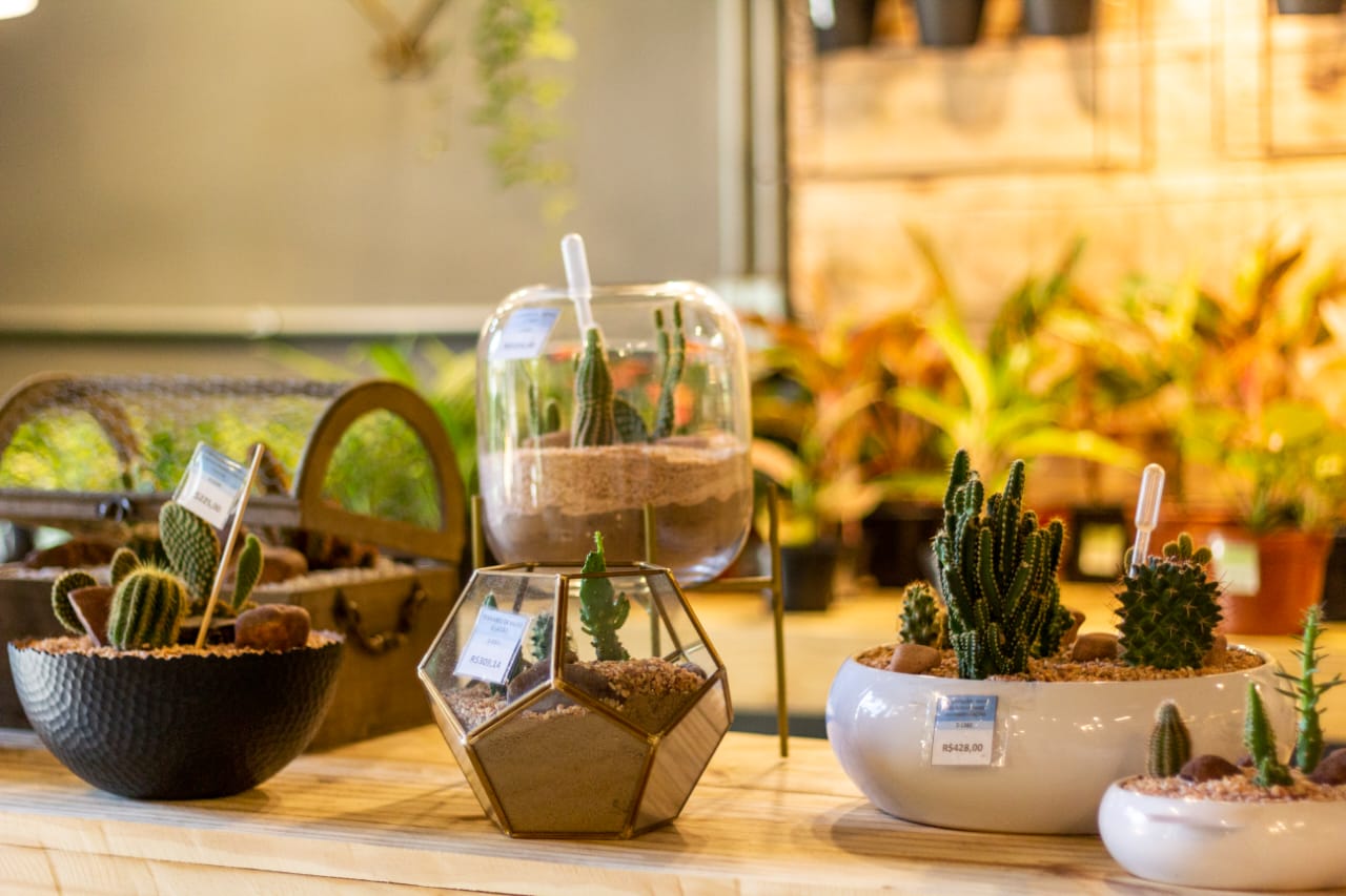 Guia completo de ferramentas de jardinagem