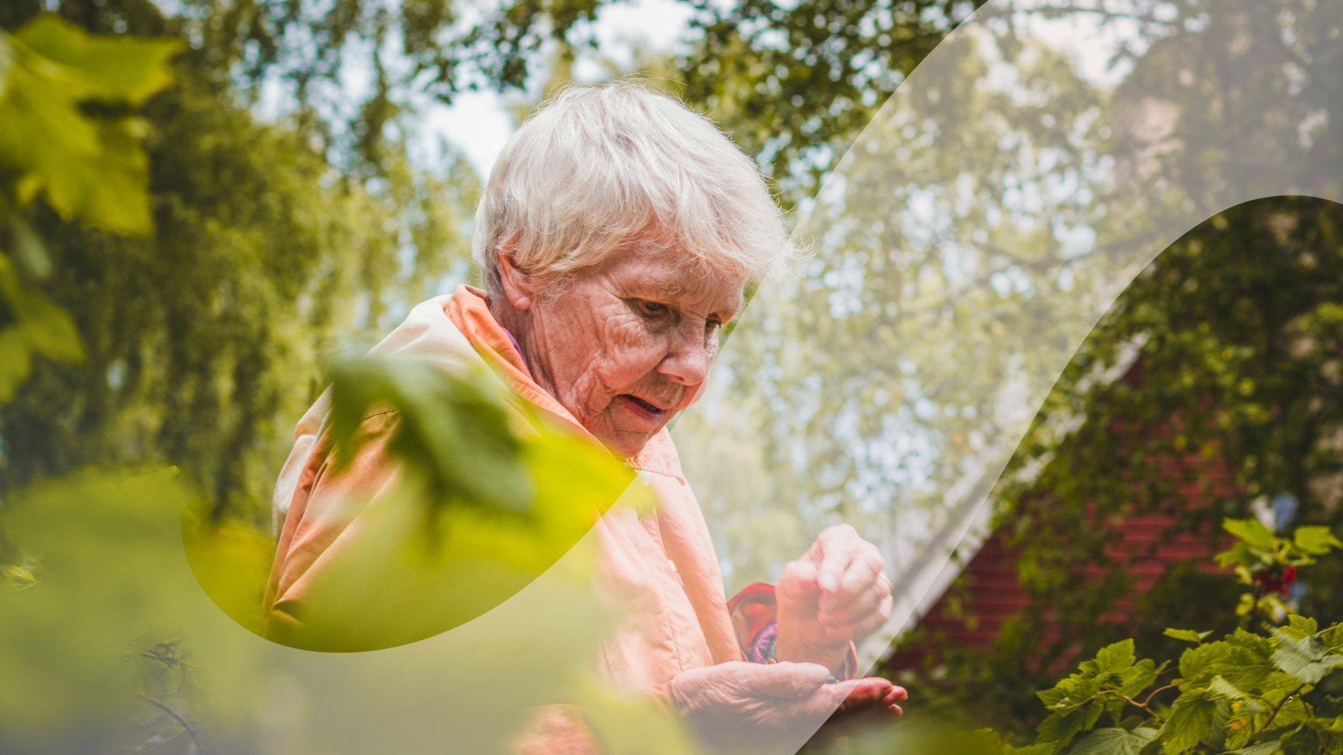 5 Ferramentas de Jardinagem Ergonômicas para Idosos