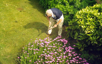 5 Ferramentas de Jardinagem Ergonômicas para Idosos