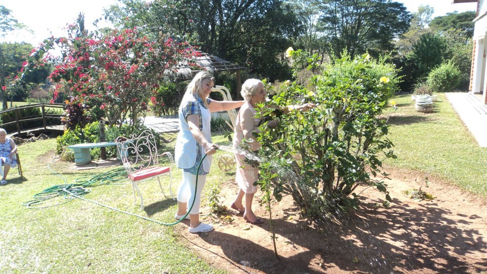 Guia Completo de Plantas de Baixa Manutenção para Jardins de Idosos