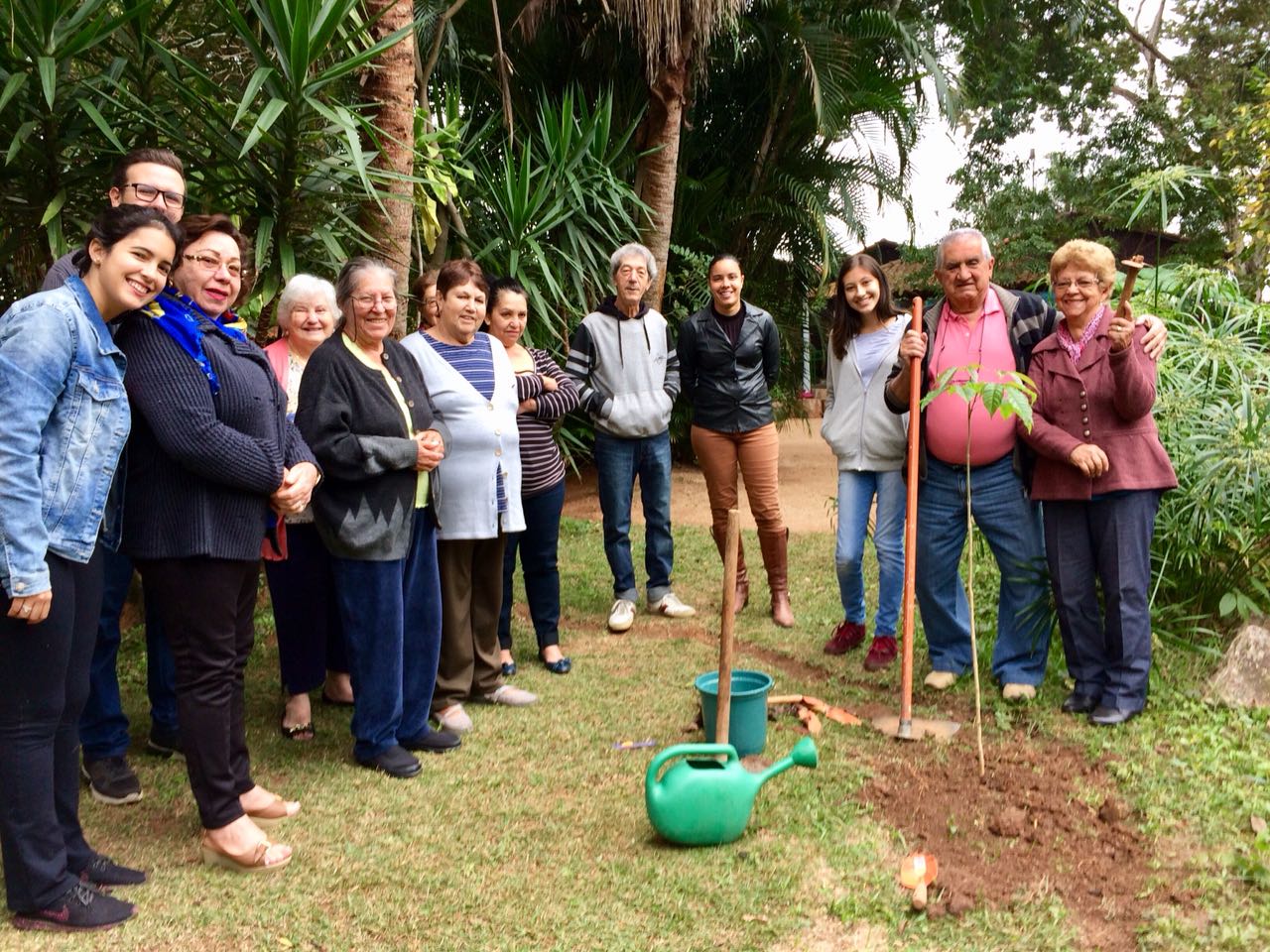 Segurança em Jardins para Idosos: Prevenindo Quedas e Acidentes
