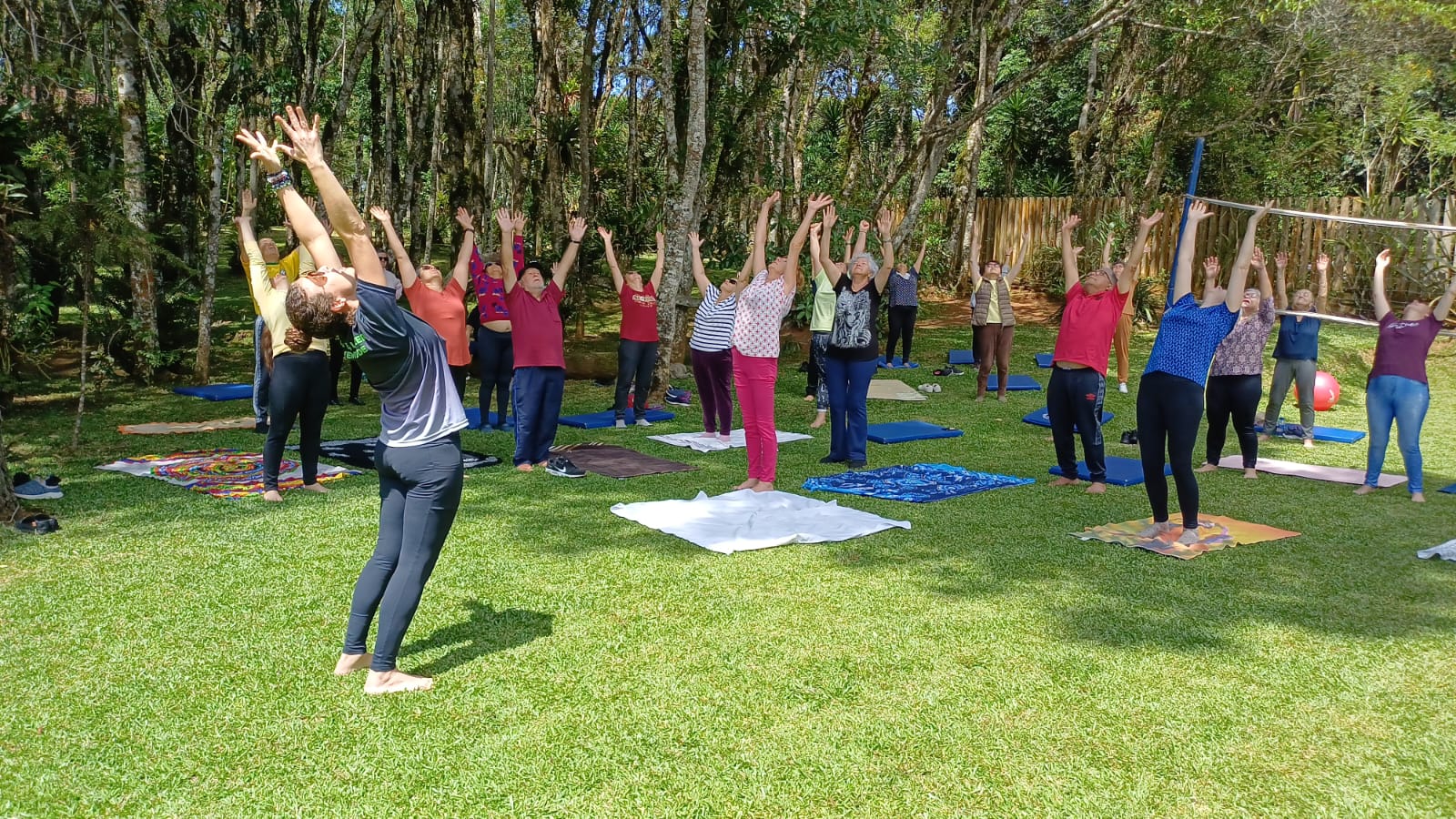 jardinagem na melhor idade