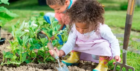 Como Criar um Jardim Vertical para Idosos