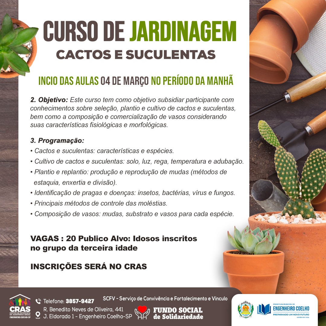 Guia Completo de Plantas de Baixa Manutenção para Jardins de Idosos