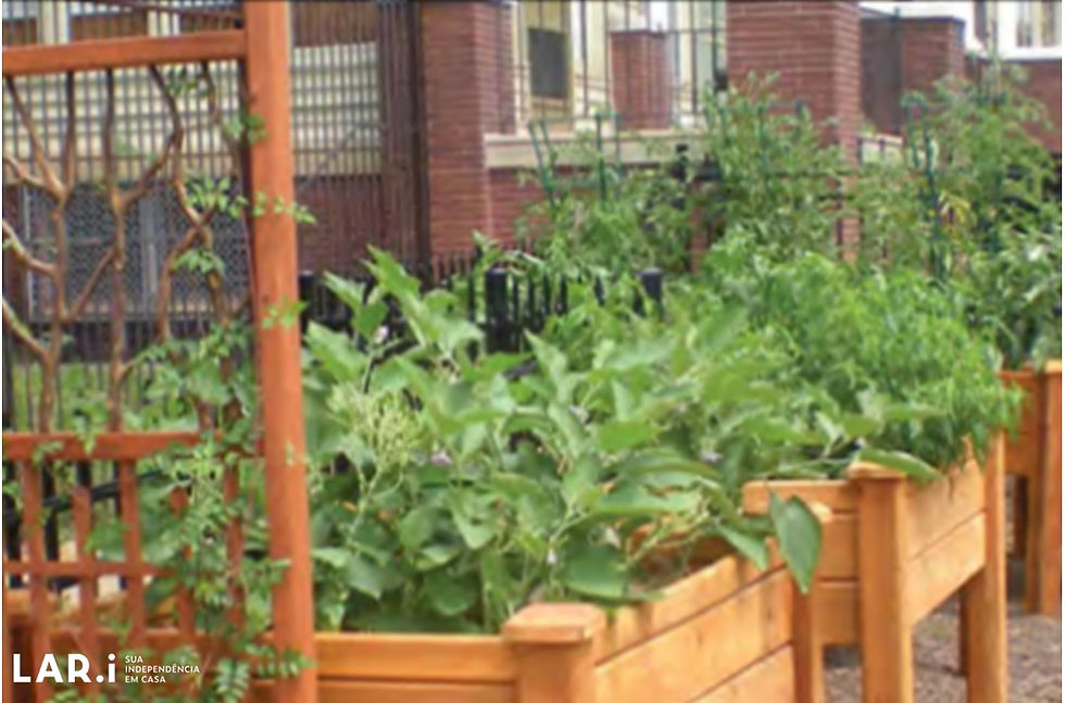 jardinagem na melhor idade