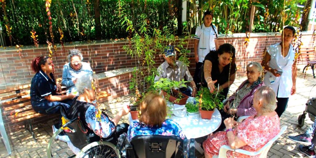 Guia Completo de Plantas de Baixa Manutenção para Jardins de Idosos