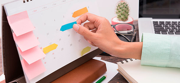 Ferramentas de IA para organizar sua galeria de fotos