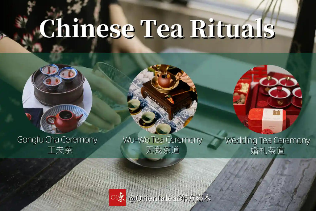 Os melhores chás para Gongfu Cha