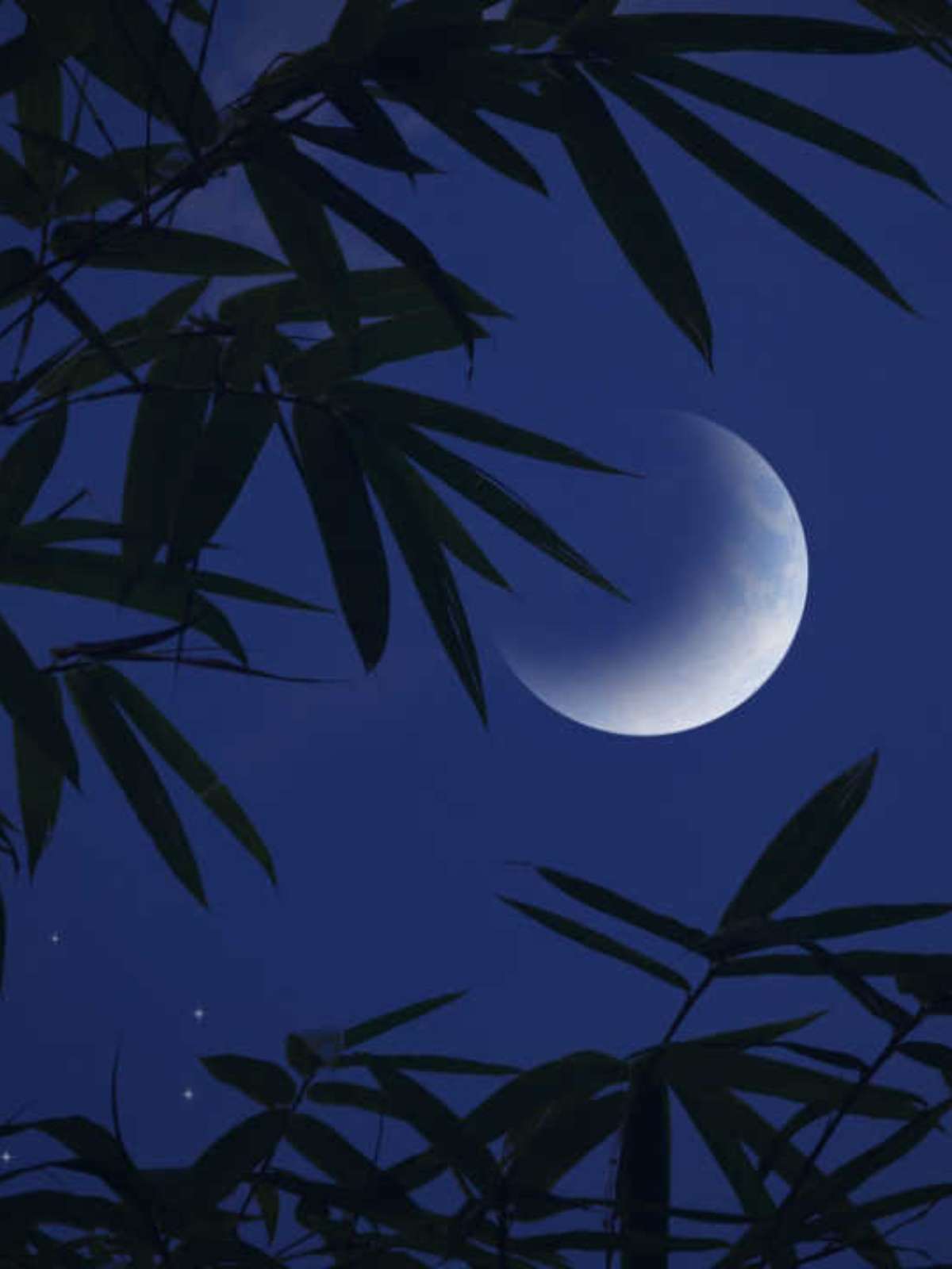 Rituais de prosperidade para a Lua Crescente: atraia abundância