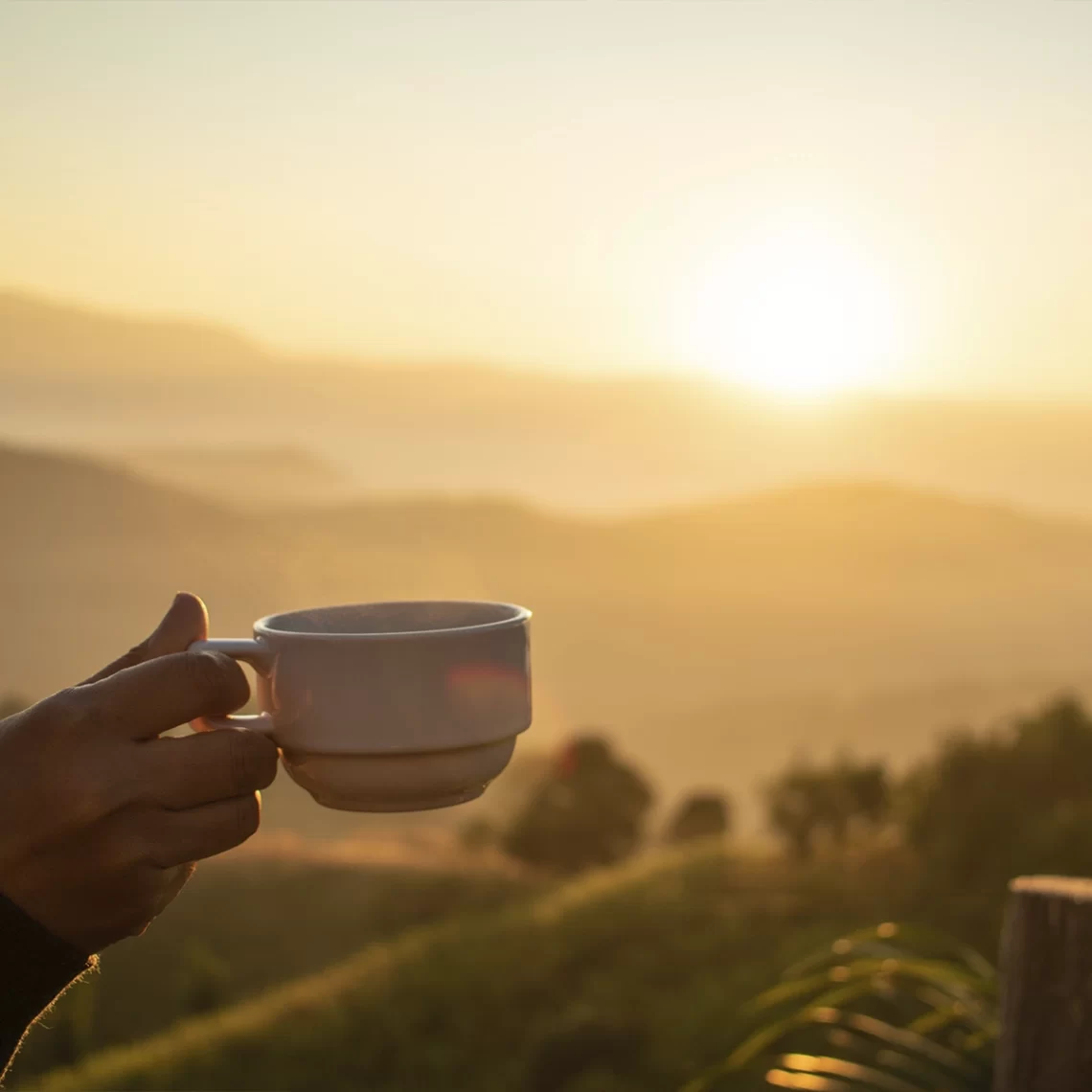 Os Benefícios da Desconexão Digital Pela Manhã
