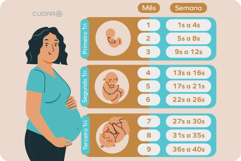 Mitos e verdades sobre a contagem de semanas na gravidez