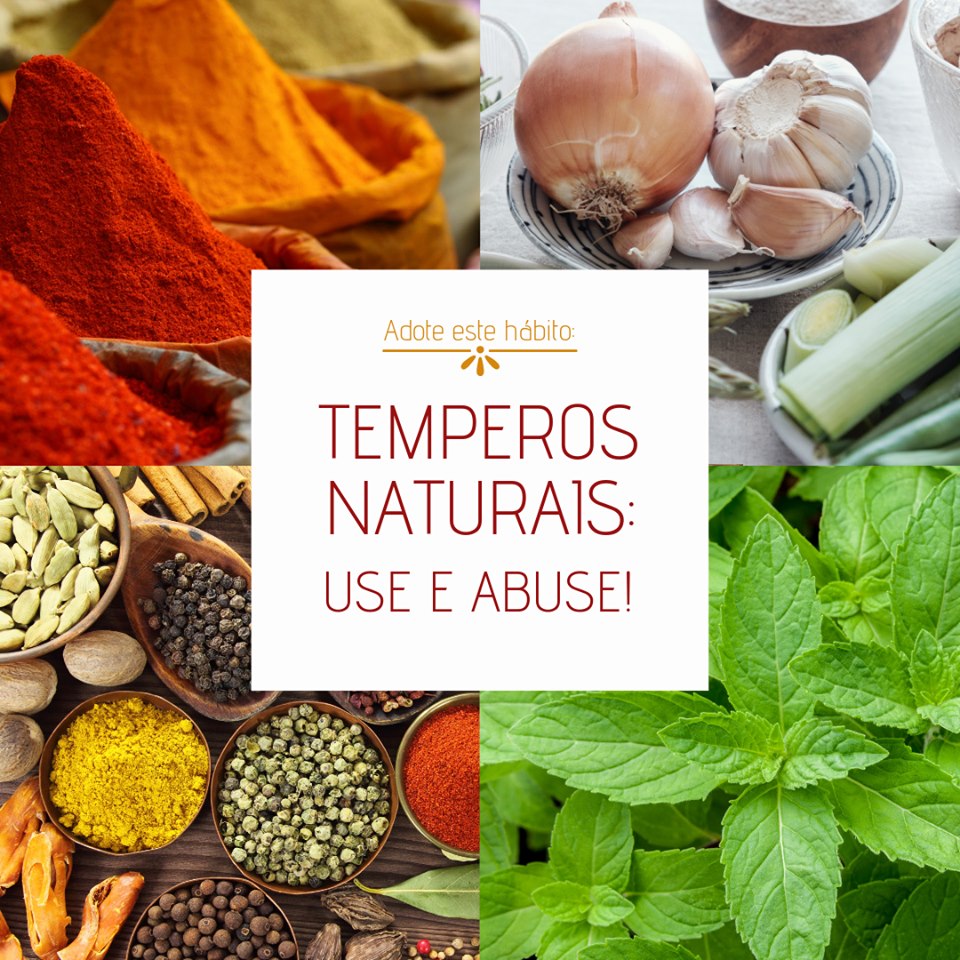 Dicas de Conservação de Ervas Frescas