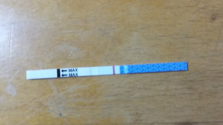 testes de gravidez negativo