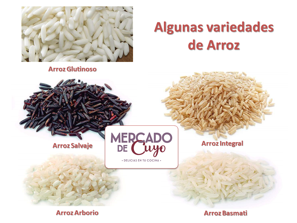 Receitas Criativas com Arroz Negro e Vermelho